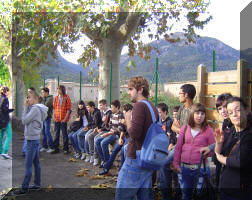  17 de novembre de 2009. Visita a la Coop. Agrcola de Sant Bartomeu. Elaboraci d'oli.