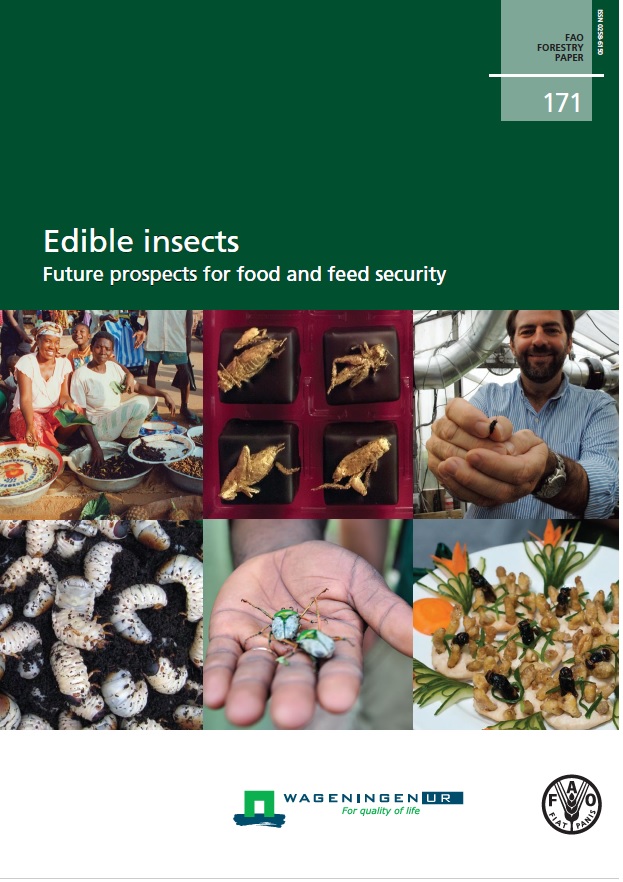 edible insects FAO